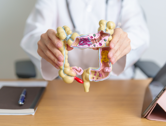 Конференция «Практическая гастроэнтерология 2026»